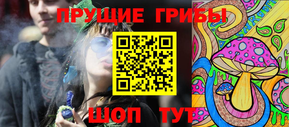 Магадан  купить  сайты  Вход с VPN  Галлюциногенные грибы ЛСД  Галлюциногенные грибы Psilocybe 